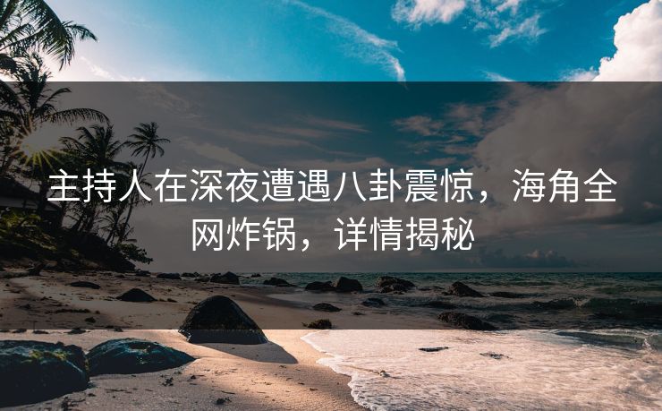 主持人在深夜遭遇八卦震惊，海角全网炸锅，详情揭秘